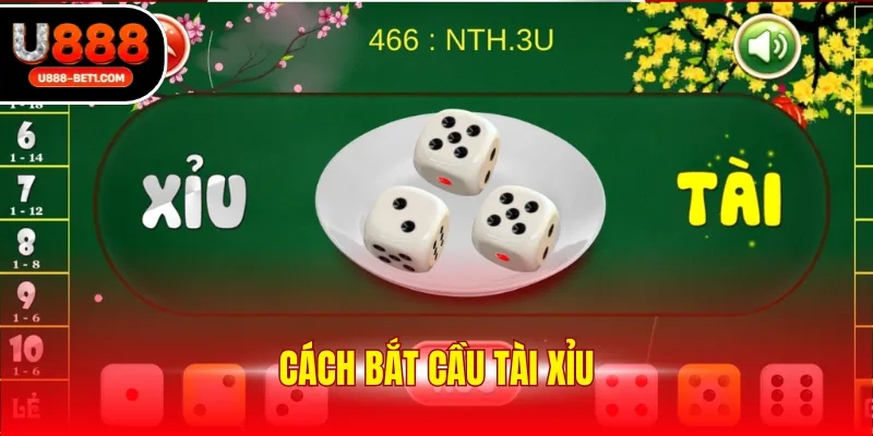 Cách bắt cầu tài xỉu